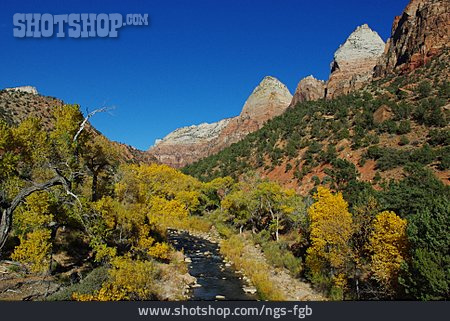 
                Fluss, Zion National Park, Utah                   
