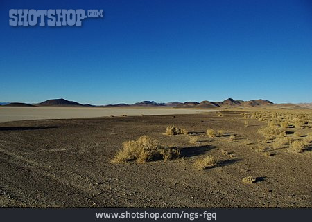 
                Wüste, Nevada                   