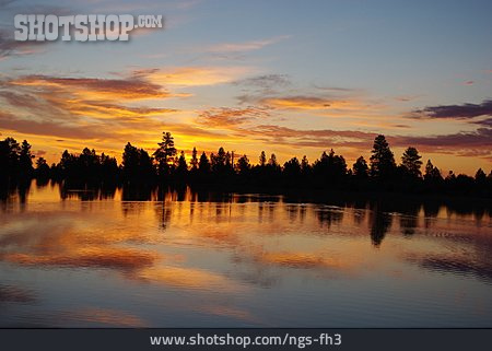 
                Sonnenuntergang, Ashley National Forest                   