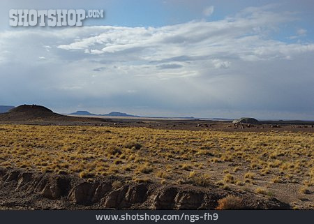 
                Wüste, Arizona, Petrified-forest-nationalpark                   