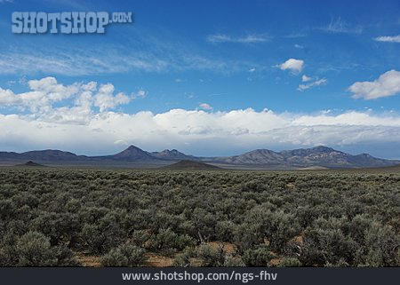 
                Nevada, Dry Lake Valley                   