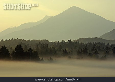 
                Wald, Silhouette, Berglandschaft                   