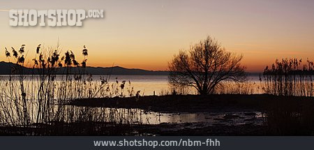 
                Sonnenuntergang, Ufer, Bodensee                   