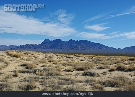 
                Providence Mountains, Mojave National Preserve                   
