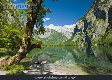 
                See, Gebirgssee, Berchtesgadener Land, Obersee                   