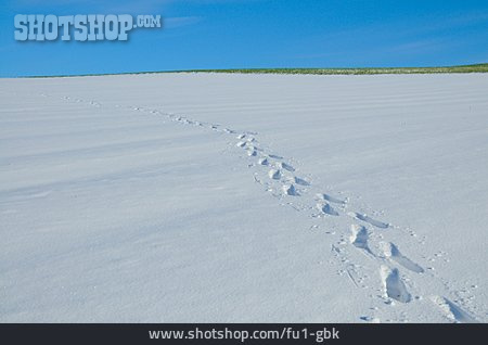 
                Winterlandschaft, Schnee, Schneespur                   