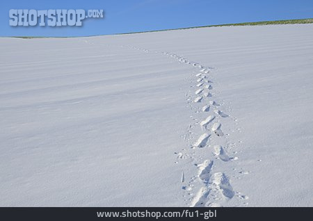 
                Winterlandschaft, Schneespur                   