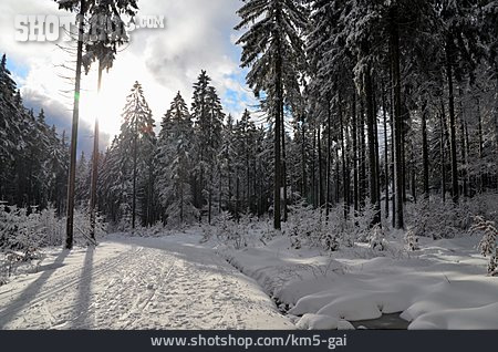
                Verschneit, Nadelwald, Fichtelgebirge                   