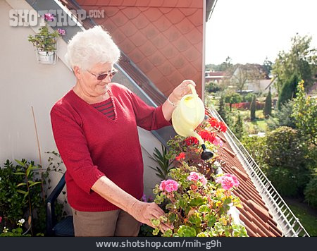 
                Seniorin, Gießen, Balkonblumen                   