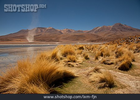 
                Bolivien, Andenhochland, Altiplano                   