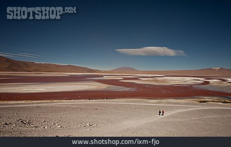 
                Andenhochland, Altiplano, Laguna Colorada                   