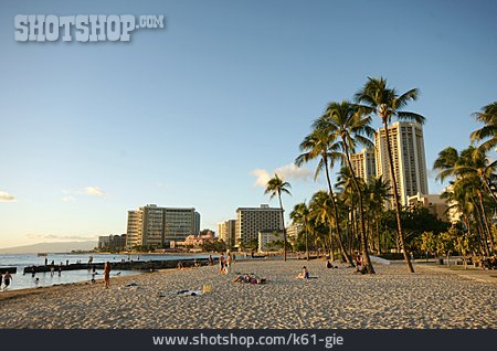 
                Strand, Hawaii, Waikiki                   