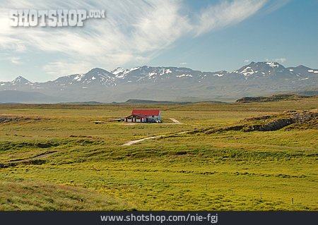 
                Island, Bauernhof                   