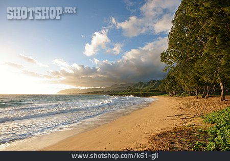 
                Strand, Bucht, Hawaii                   