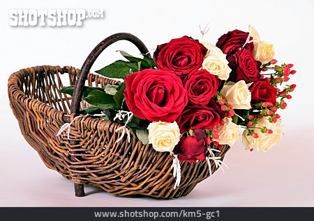
                Rose, Blumenkorb, Blumendekoration                   