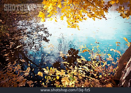 
                Herbstlaub, Herbstlich, Wasseroberfläche                   