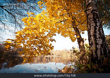 
                See, Ufer, Herbstfärbung                   
