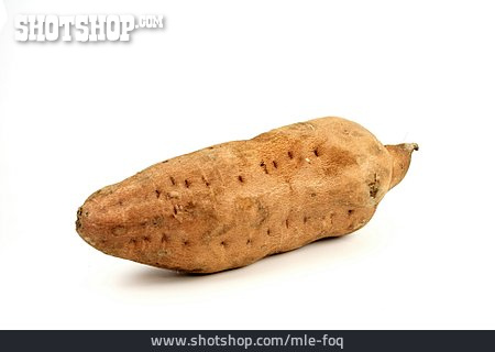 
                Knolle, Süßkartoffel                   