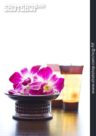 
                Aromatherapie, Orchideenblüte, Blütenduft                   