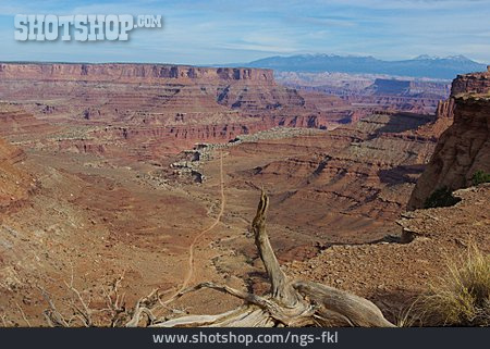 
                Canyon, Utah, Canyonlands-nationalpark, Canyonlands                   