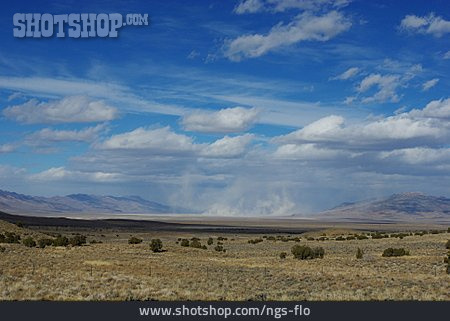 
                Steppe, Nevada                   