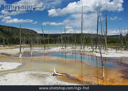 
                Vulkanisch, Yellowstone-nationalpark, Thermalgebiet                   