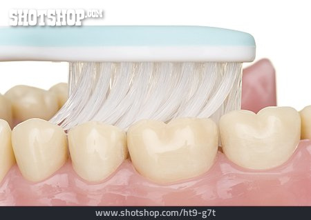 
                Zähne Putzen, Zahnhygiene, Zahngesundheit                   