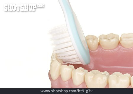 
                Zähne Putzen, Zahnhygiene                   