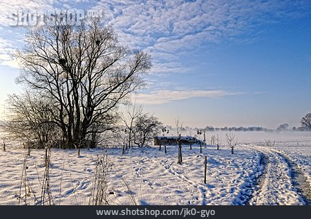 
                Winter Landscape, Rural Scene, Dirt                   