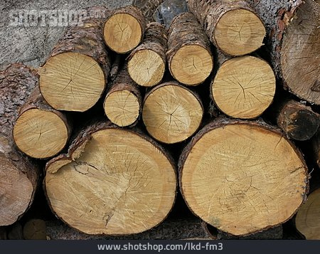 
                Holzstapel, Holzwirtschaft                   