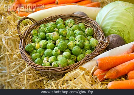 
                Rosenkohl, Gemüsekorb, Gemüseernte                   