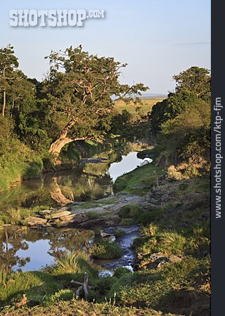 
                Fluss, Kenia, Masai Mara                   