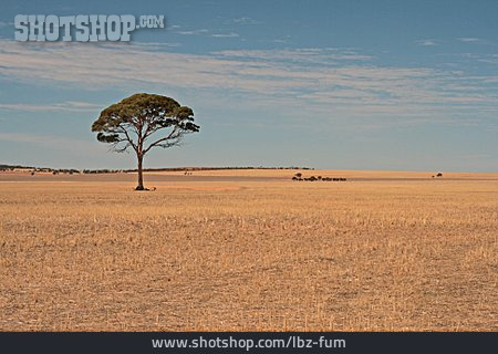 
                Landschaft, Weite, Australien                   