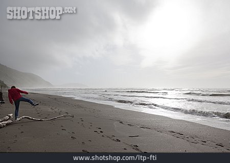 
                Küste, Stürmisch, Neuseeland                   
