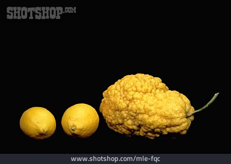 
                Zitrone, Zitronatzitrone                   