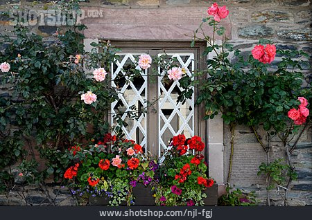 
                Fenster, Ländlich, Rosenspalier                   