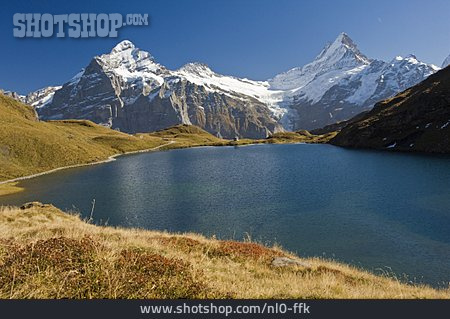 
                See, Bergsee, Berner Oberland, Bachalpsee                   