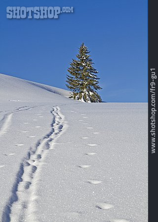 
                Schnee, Schneespur, Skispur                   