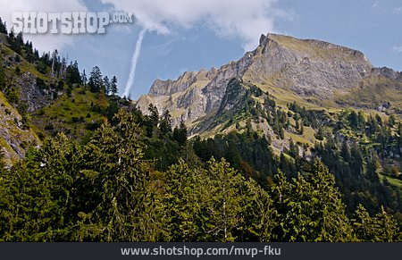 
                Allgäuer Alpen, Oytal, Gutenalp                   