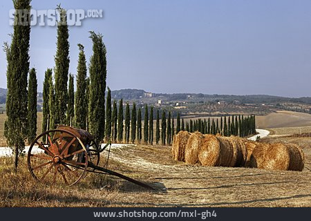 
                Landwirtschaft, Toskana, Val D'orcia                   