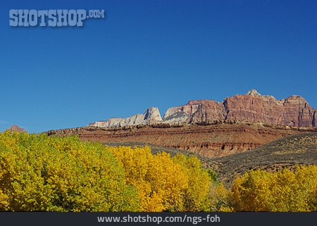 
                Herbststimmung, Felsformation, Zion National Park                   