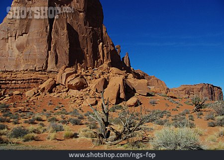 
                Sandstein, Felsformation, Arches National Park                   
