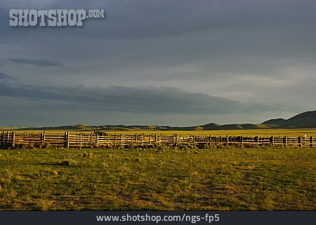 
                Gatter, Farm, Montana, Ranch                   