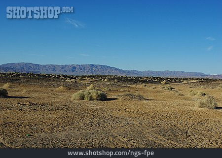 
                Wüste, Kalifornien, Tecopa Hot Springs                   