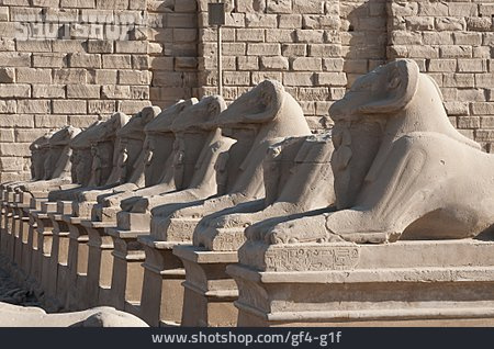 
                Archäologie, Tempel, Karnak-tempel, Widderallee                   