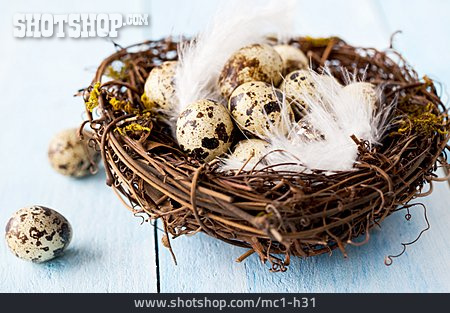 
                Osternest, Nest, Vogelnest                   