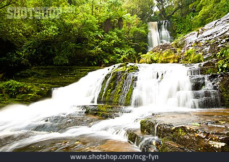 
                Wasserfall, Kaskade, Regenwald                   