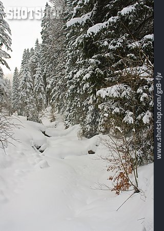 
                Wald, Winter, Schnee                   