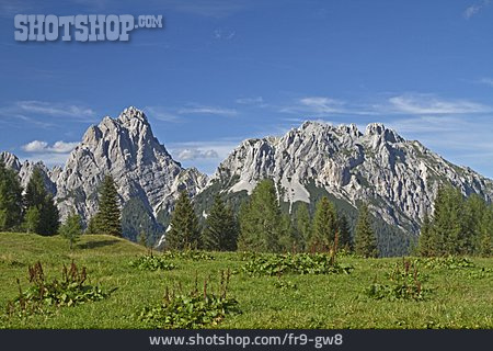 
                Dolomiten, Karnische Alpen                   