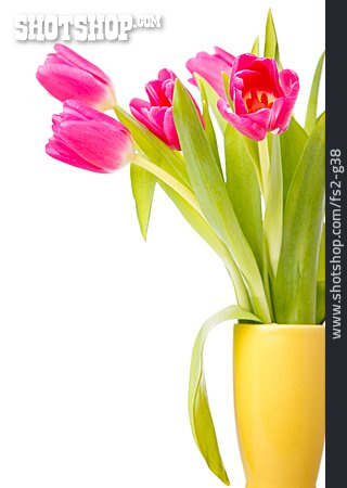 
                Tulpe, Tulpenstrauß, Blumenvase                   